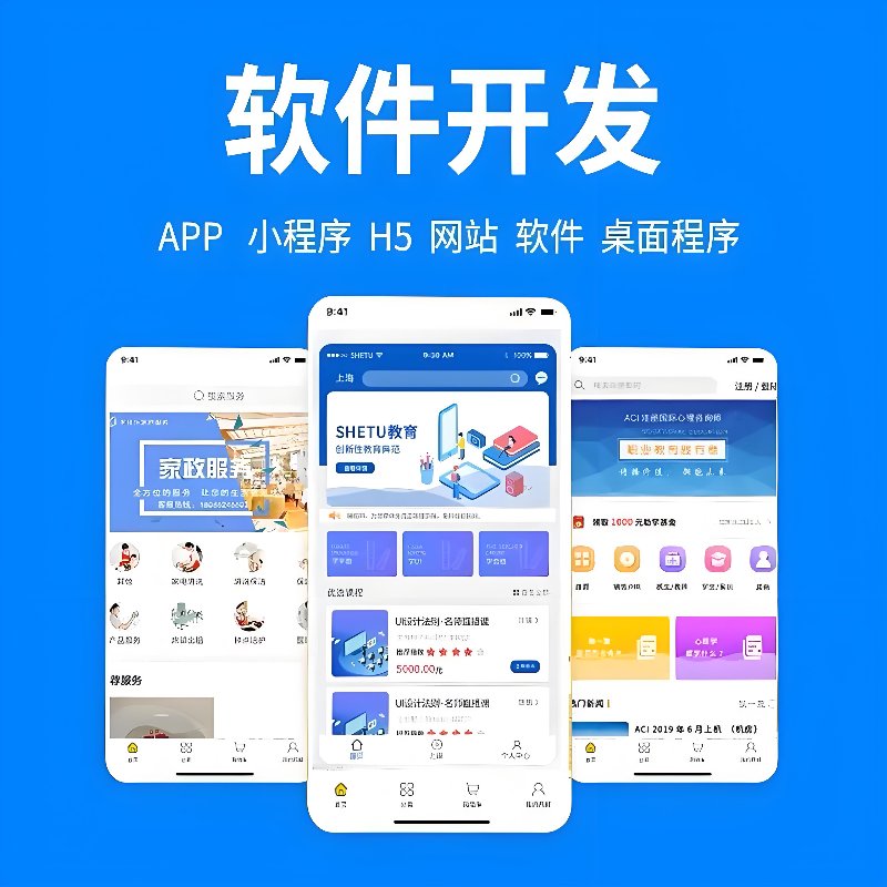 科技触角延伸至合肥:软件开发业的新篇章